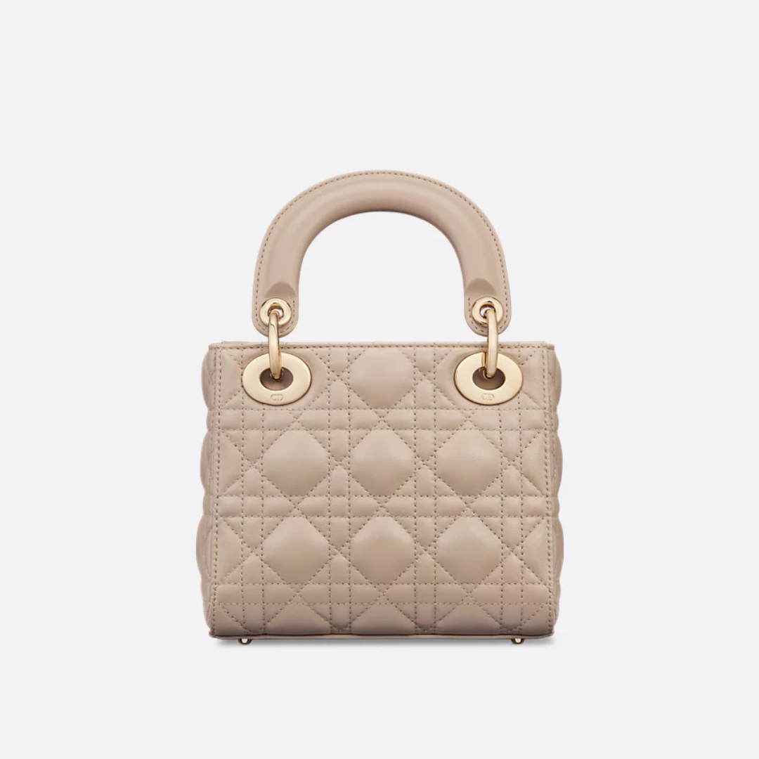 MINI LADY DIOR CARTERA