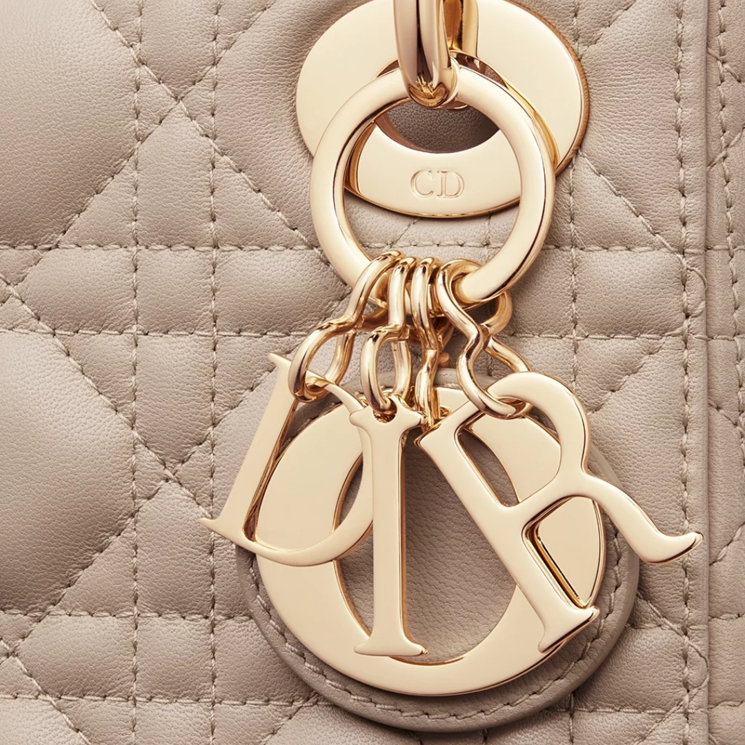 MINI LADY DIOR CARTERA