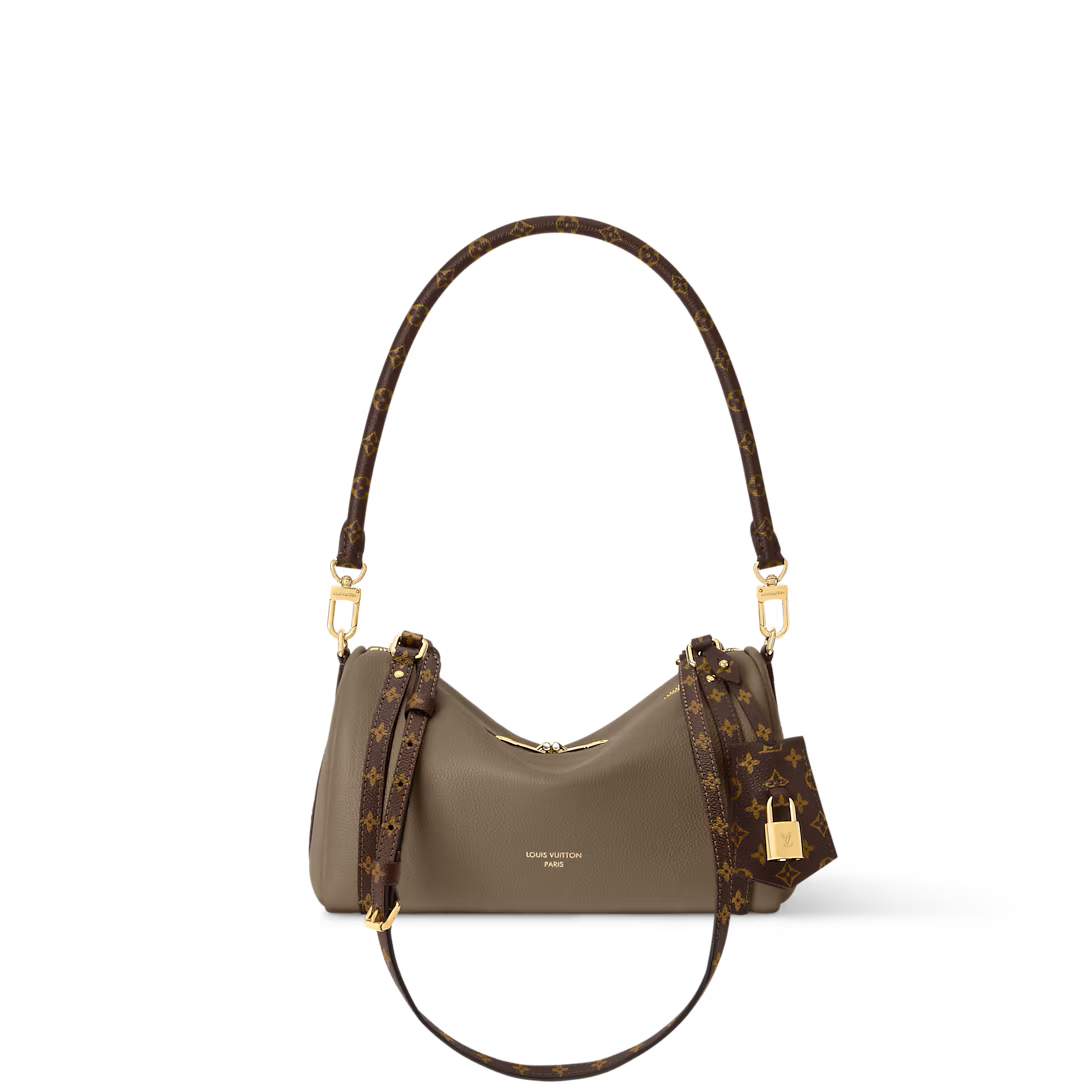 LOUIS VUITTON CARTERA EXPRESS PM