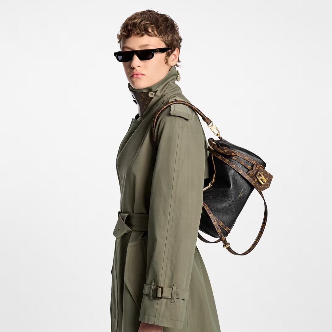 LOUIS VUITTON CARTERA EXPRESS PM