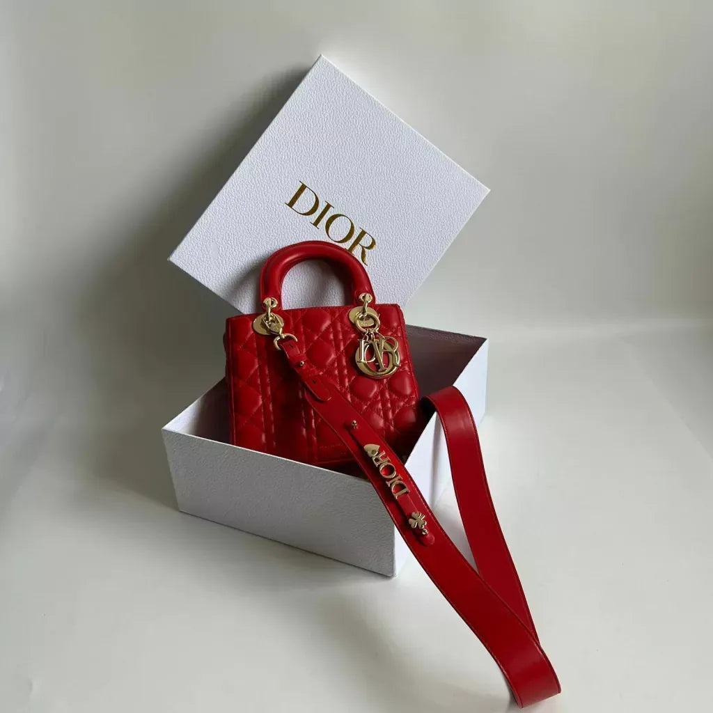 MINI LADY DIOR CARTERA